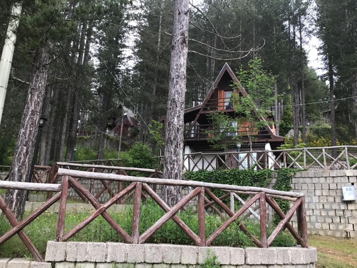 Chalet Natura Sport&Relax Cavaliere  Exteriör bild